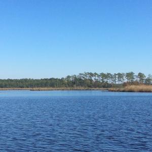 Photo of UNDER CONTRACT!  286 ac Waterfront Hunting Land for Sale in Hyde County NC!
