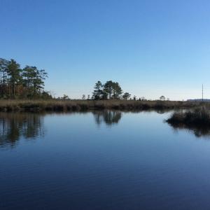Photo of UNDER CONTRACT!  286 ac Waterfront Hunting Land for Sale in Hyde County NC!