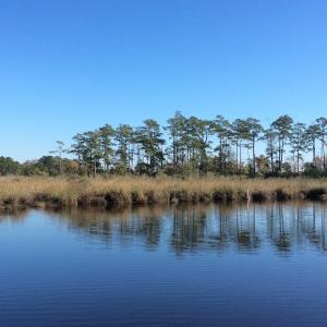 Photo of UNDER CONTRACT!  286 ac Waterfront Hunting Land for Sale in Hyde County NC!