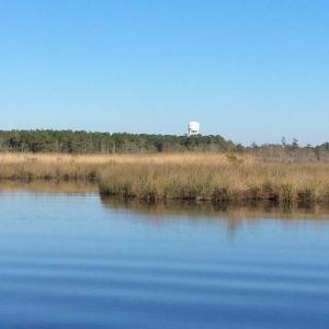 Photo of UNDER CONTRACT!  286 ac Waterfront Hunting Land for Sale in Hyde County NC!