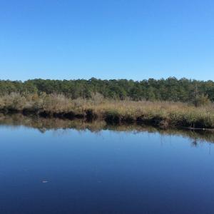 Photo of UNDER CONTRACT!  286 ac Waterfront Hunting Land for Sale in Hyde County NC!