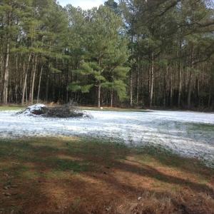 Photo of SOLD!  26 Acres of Hunting Land with Home Site For Sale in Accomack County VA!