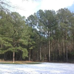 Photo of SOLD!  26 Acres of Hunting Land with Home Site For Sale in Accomack County VA!
