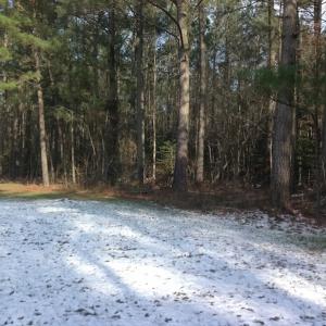 Photo of SOLD!  26 Acres of Hunting Land with Home Site For Sale in Accomack County VA!