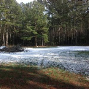 Photo of SOLD!  26 Acres of Hunting Land with Home Site For Sale in Accomack County VA!