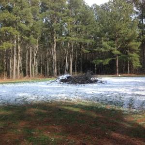 Photo of SOLD!  26 Acres of Hunting Land with Home Site For Sale in Accomack County VA!