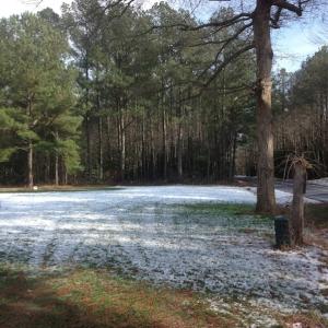 Photo of SOLD!  26 Acres of Hunting Land with Home Site For Sale in Accomack County VA!