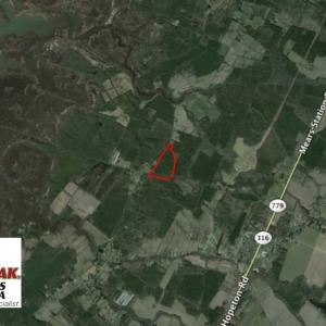 Photo of SOLD!  26 Acres of Hunting Land with Home Site For Sale in Accomack County VA!