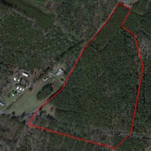 Photo of SOLD!  26 Acres of Hunting Land with Home Site For Sale in Accomack County VA!