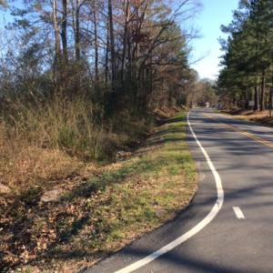 Photo of UNDER CONTRACT!  27.65 Acres of Hunting Land For Sale In Bertie County NC!