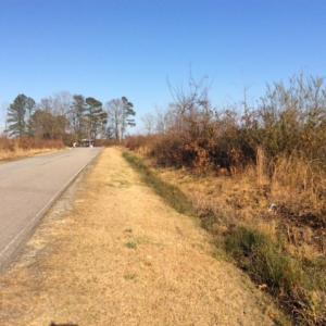 Photo of UNDER CONTRACT!  27.65 Acres of Hunting Land For Sale In Bertie County NC!
