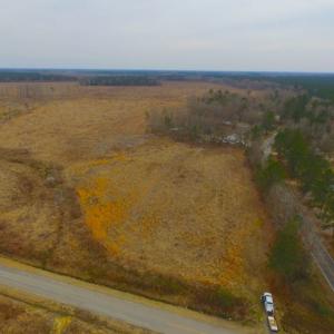 Photo of UNDER CONTRACT!  27.65 Acres of Hunting Land For Sale In Bertie County NC!