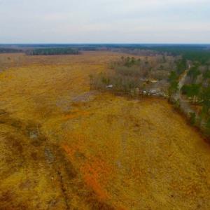 Photo of UNDER CONTRACT!  27.65 Acres of Hunting Land For Sale In Bertie County NC!