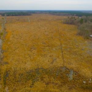 Photo of UNDER CONTRACT!  27.65 Acres of Hunting Land For Sale In Bertie County NC!