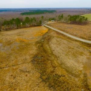 Photo of UNDER CONTRACT!  27.65 Acres of Hunting Land For Sale In Bertie County NC!