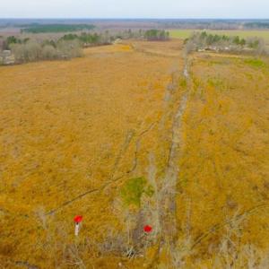 Photo of UNDER CONTRACT!  27.65 Acres of Hunting Land For Sale In Bertie County NC!
