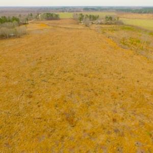 Photo of UNDER CONTRACT!  27.65 Acres of Hunting Land For Sale In Bertie County NC!