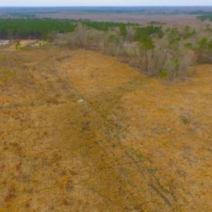 Photo of UNDER CONTRACT!  27.65 Acres of Hunting Land For Sale In Bertie County NC!