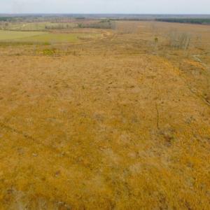 Photo of UNDER CONTRACT!  27.65 Acres of Hunting Land For Sale In Bertie County NC!