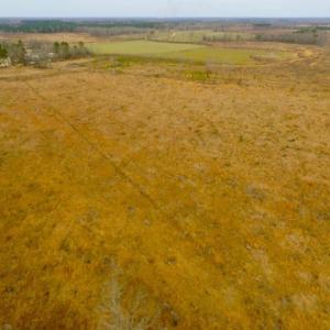 Photo of UNDER CONTRACT!  27.65 Acres of Hunting Land For Sale In Bertie County NC!