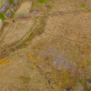 Photo of UNDER CONTRACT!  27.65 Acres of Hunting Land For Sale In Bertie County NC!
