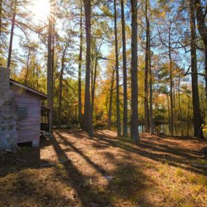 Photo of SOLD!  120 Acres of Hunting Land For Sale in Nash County NC!