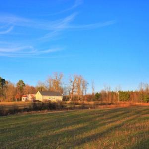 Photo of SOLD!  120 Acres of Hunting Land For Sale in Nash County NC!
