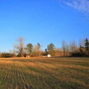 Photo of SOLD!  120 Acres of Hunting Land For Sale in Nash County NC!