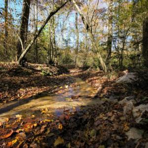 Photo of SOLD!  120 Acres of Hunting Land For Sale in Nash County NC!