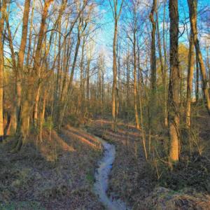 Photo of SOLD!  120 Acres of Hunting Land For Sale in Nash County NC!