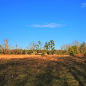 Photo of SOLD!  120 Acres of Hunting Land For Sale in Nash County NC!