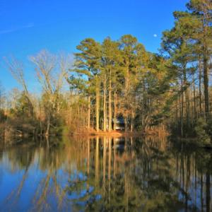 Photo of SOLD!  120 Acres of Hunting Land For Sale in Nash County NC!