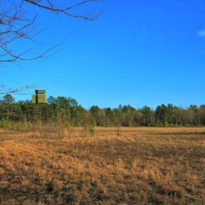 Photo of SOLD!  120 Acres of Hunting Land For Sale in Nash County NC!