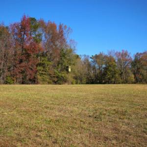 Photo of SOLD!  120 Acres of Hunting Land For Sale in Nash County NC!