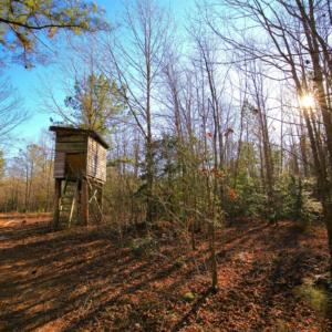 Photo of SOLD!  120 Acres of Hunting Land For Sale in Nash County NC!