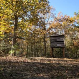 Photo of SOLD!  120 Acres of Hunting Land For Sale in Nash County NC!