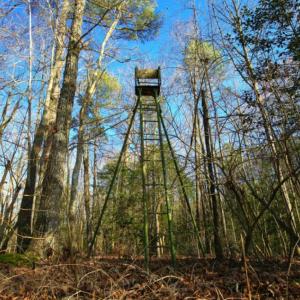 Photo of SOLD!  120 Acres of Hunting Land For Sale in Nash County NC!