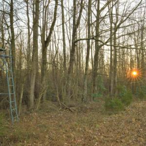 Photo of SOLD!  120 Acres of Hunting Land For Sale in Nash County NC!