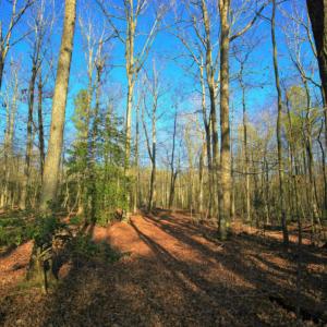 Photo of SOLD!  120 Acres of Hunting Land For Sale in Nash County NC!