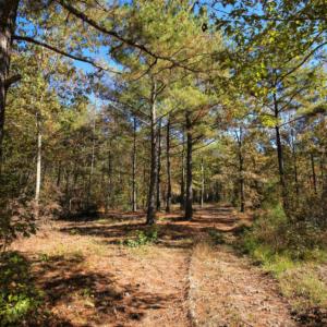 Photo of SOLD!  120 Acres of Hunting Land For Sale in Nash County NC!