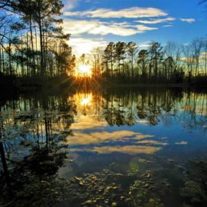 Photo of SOLD!  120 Acres of Hunting Land For Sale in Nash County NC!