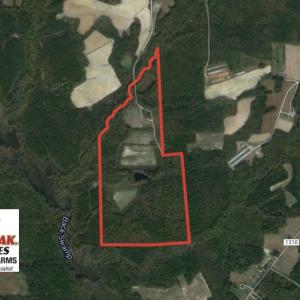 Photo of SOLD!  120 Acres of Hunting Land For Sale in Nash County NC!