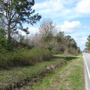 Photo of SOLD!  38 Acres of Farm and Timber Land For Sale in Columbus County NC!