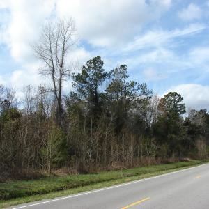 Photo of SOLD!  38 Acres of Farm and Timber Land For Sale in Columbus County NC!