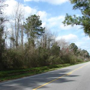 Photo of SOLD!  38 Acres of Farm and Timber Land For Sale in Columbus County NC!