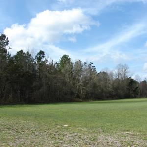 Photo of SOLD!  38 Acres of Farm and Timber Land For Sale in Columbus County NC!