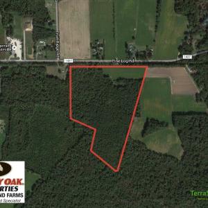 Photo of SOLD!  38 Acres of Farm and Timber Land For Sale in Columbus County NC!