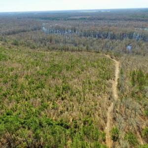 Photo of UNDER CONTRACT!  36.48 Acres of Hunting Land For Sale in Craven County NC!