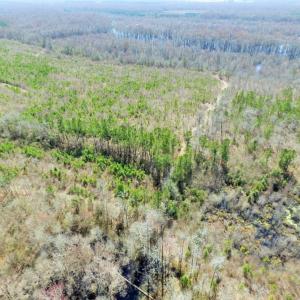 Photo of UNDER CONTRACT!  36.48 Acres of Hunting Land For Sale in Craven County NC!