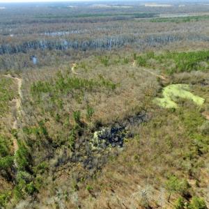 Photo of UNDER CONTRACT!  36.48 Acres of Hunting Land For Sale in Craven County NC!